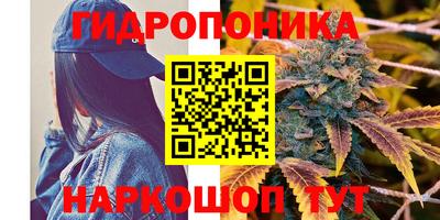 СК Коммунар