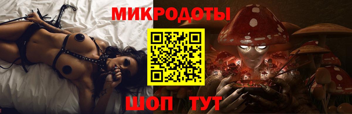 Галлюциногенные грибы Psilocybe  Вход с VPN  Кимры 